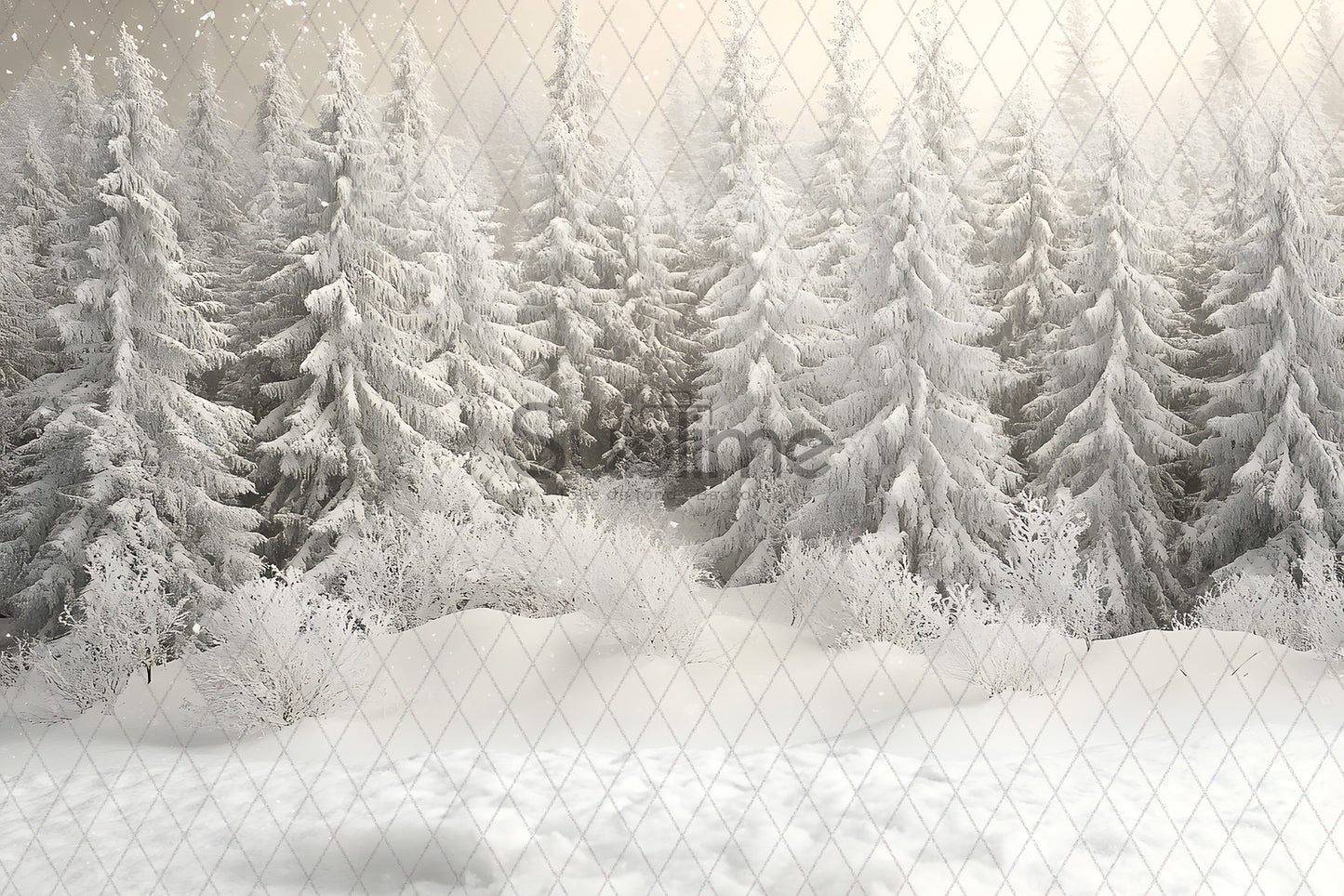 Noël Exterieur-104