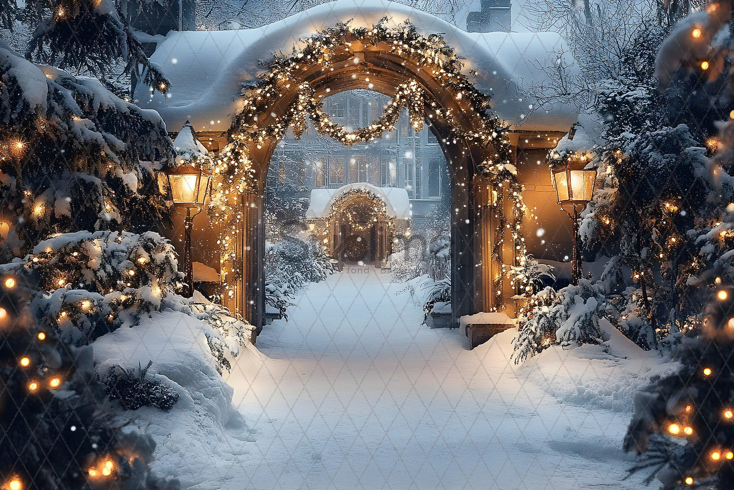 Noël Exterieur-41