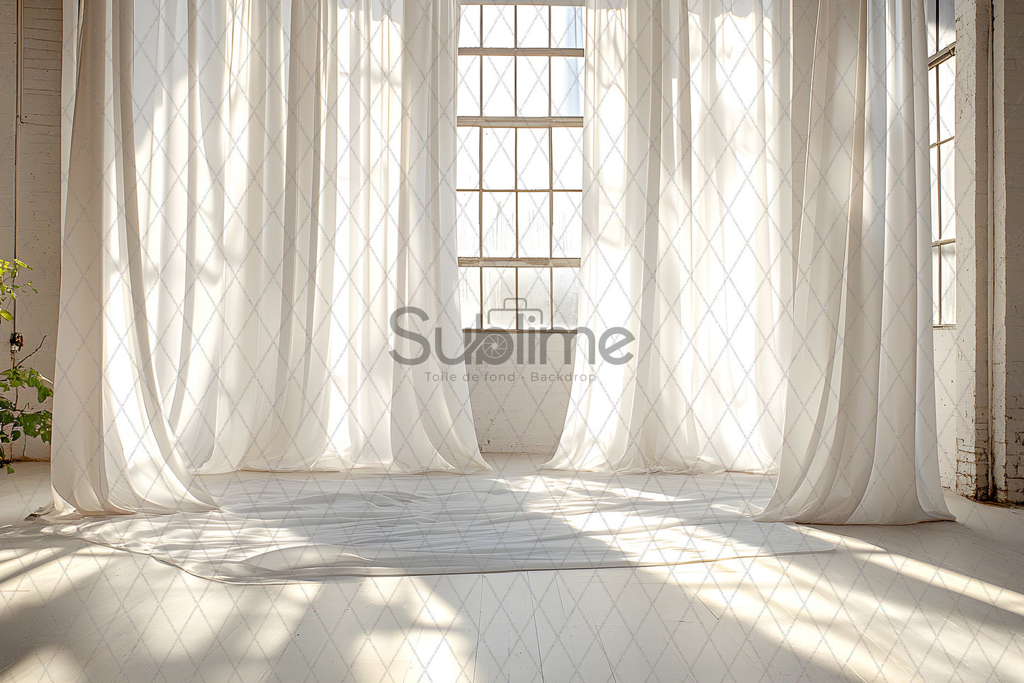 Classic White -43