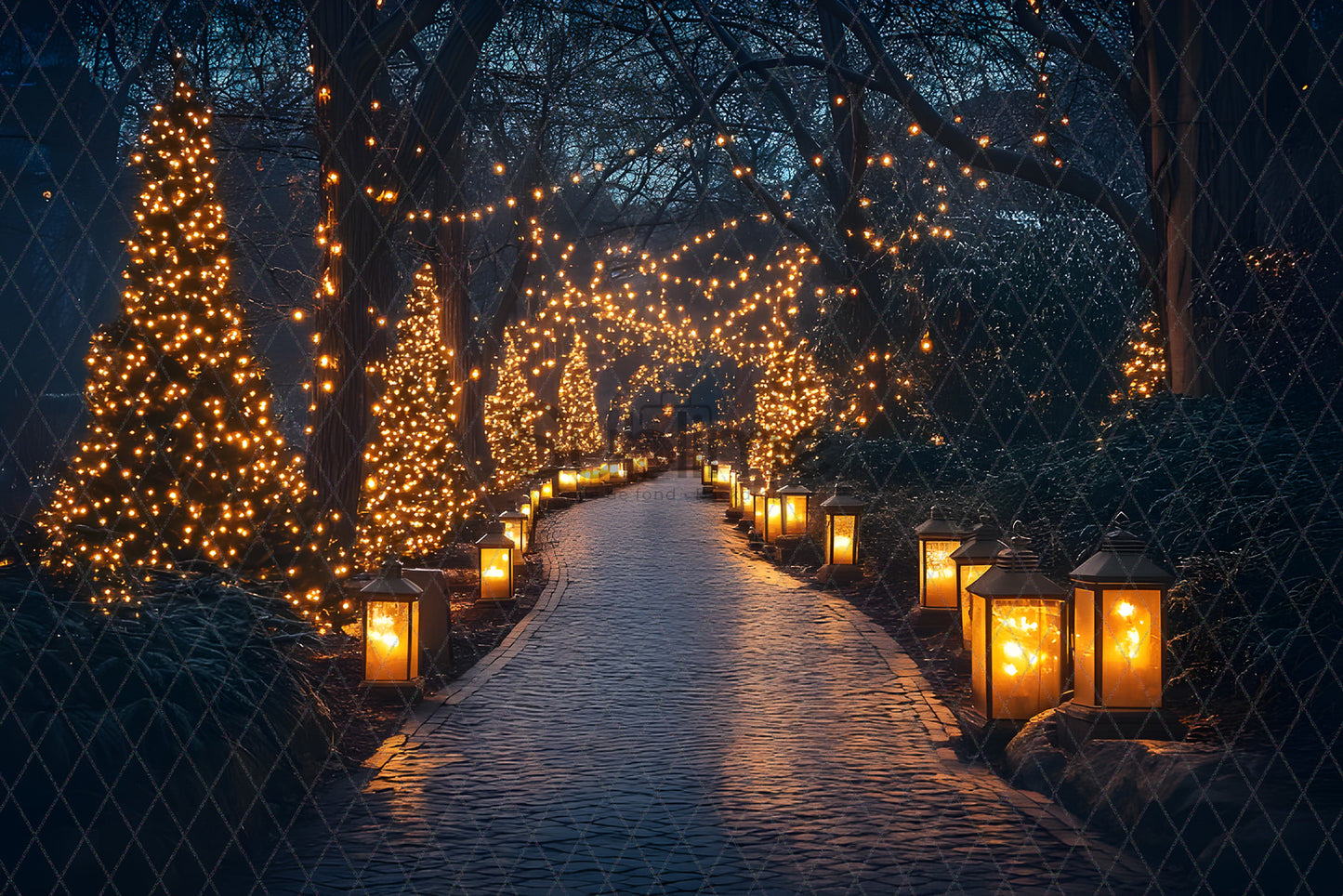 Noël Exterieur-44