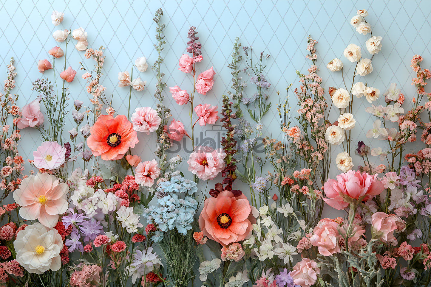 Spring Arch-211