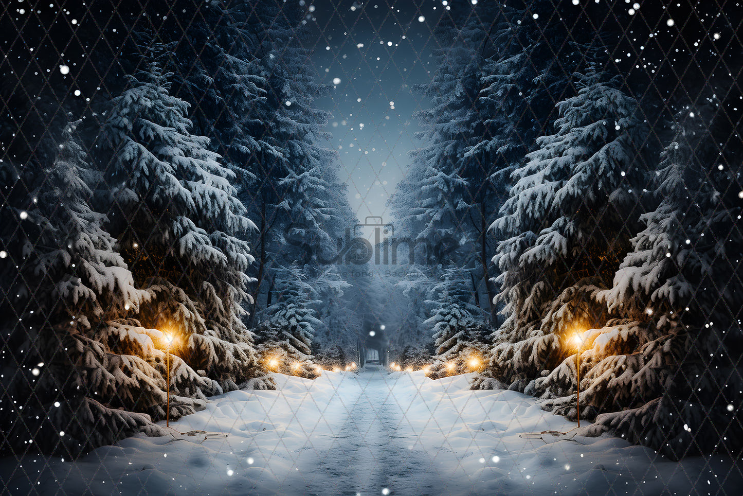 Noël Exterieur-30