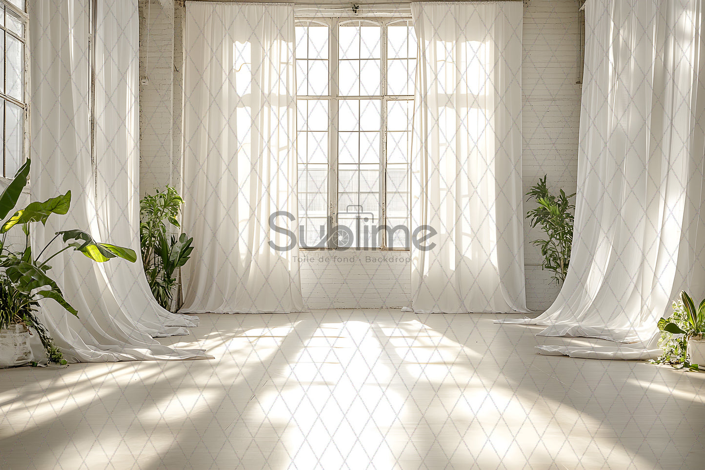 Classic White -42