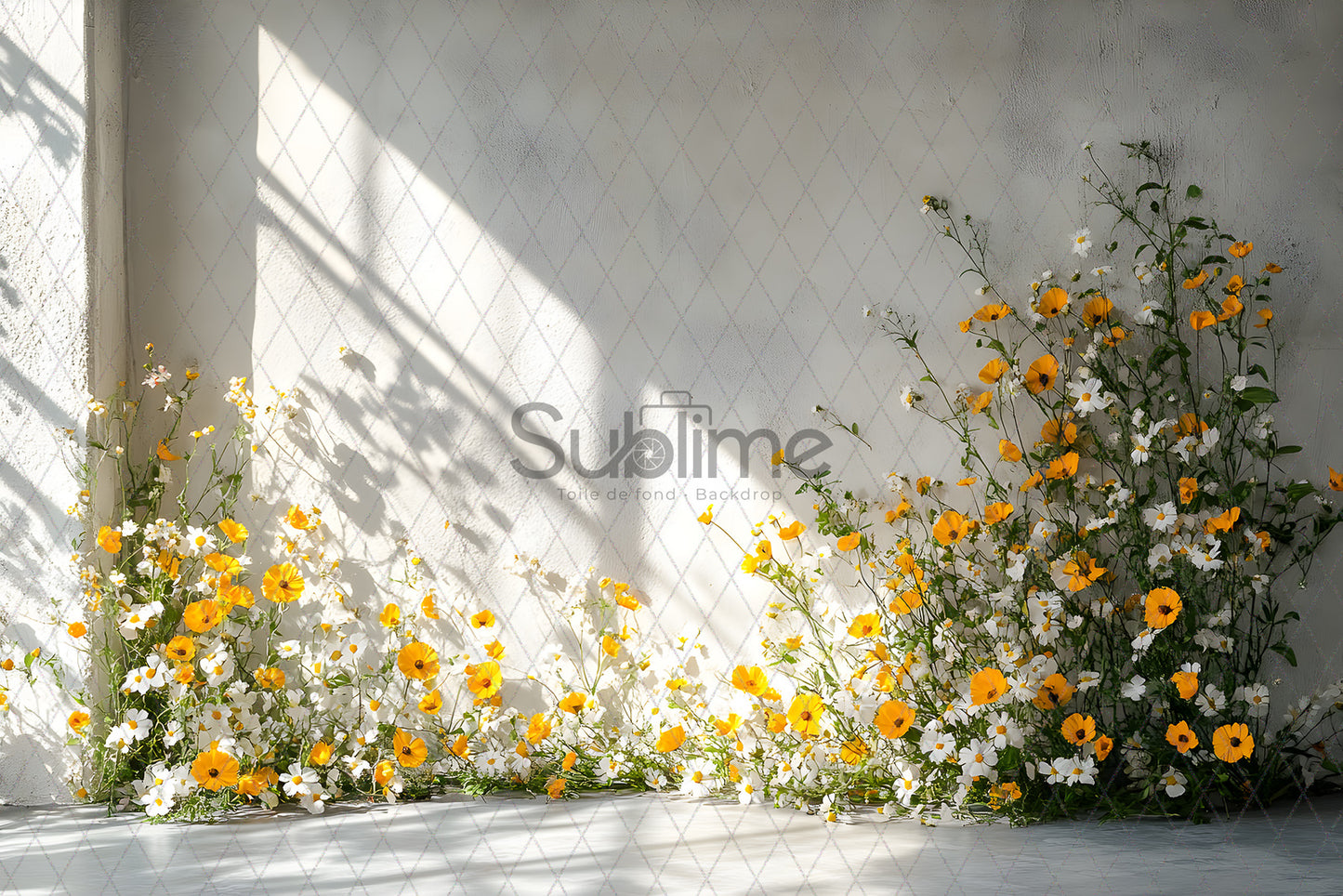 Arche Spring-202