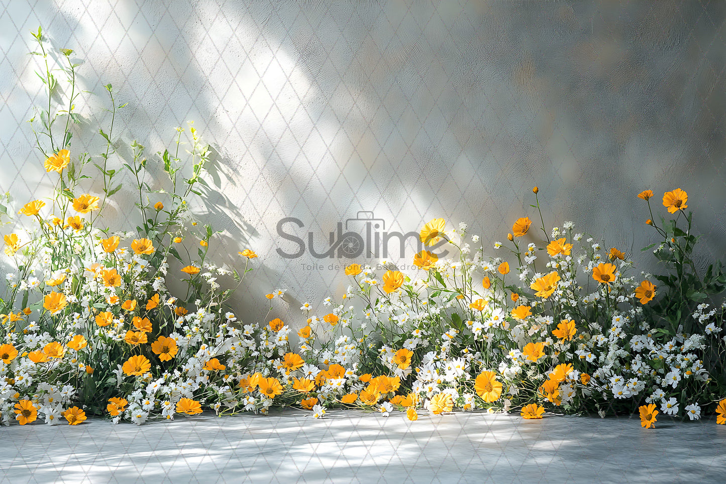 Arche Spring-208
