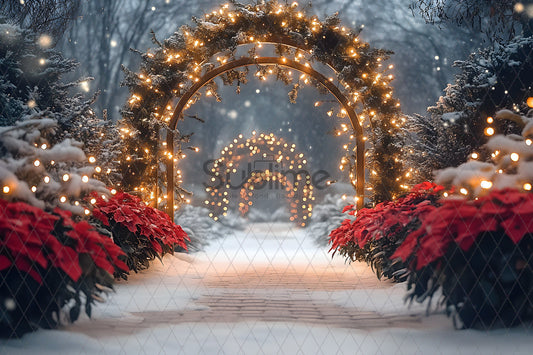 Noël Exterieur-154