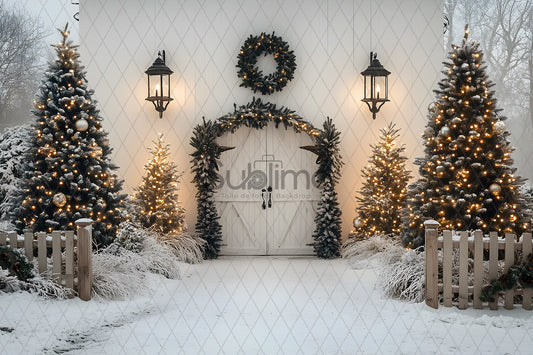Noël Exterieur-114