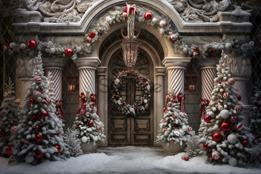 Noël Exterieur-151