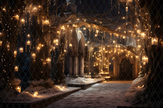 Noël Exterieur-131