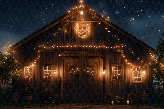Noël Exterieur-83