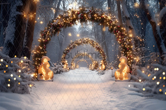Noël Exterieur-158
