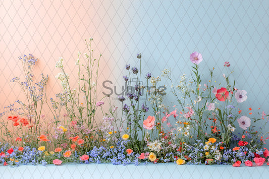 Spring Arch-210