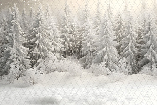 Noël Exterieur-104