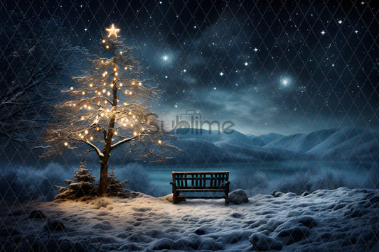 Noël Exterieur-78