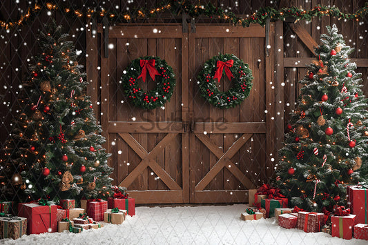 Noël Exterieur-12
