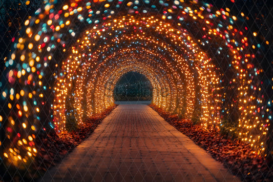 Noël Exterieur-84