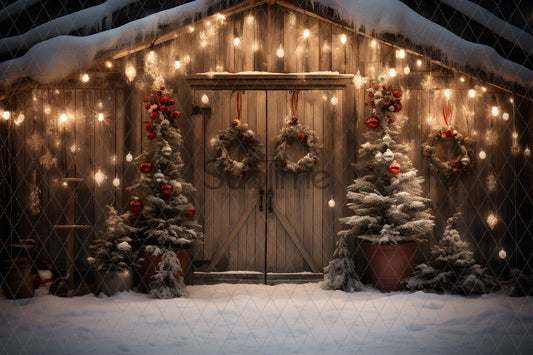 Noël Exterieur-174
