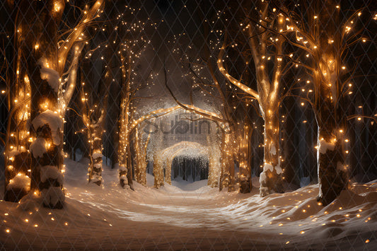 Noël Exterieur-129