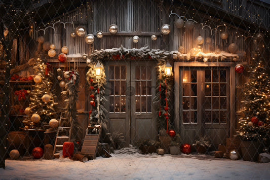 Noël Exterieur-168