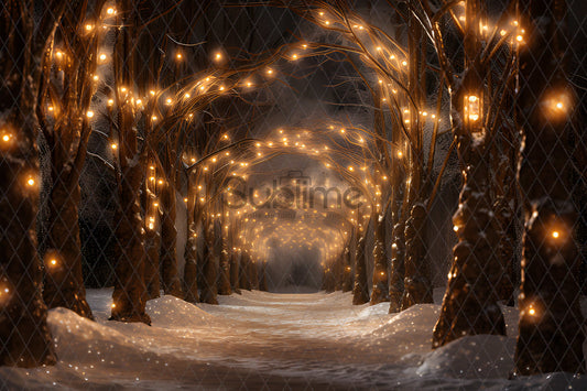Noël Exterieur-132