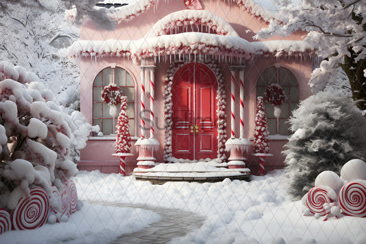 Noël Exterieur-149
