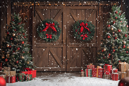 Noël Exterieur-11