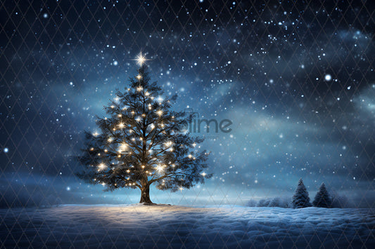 Noël Exterieur-77