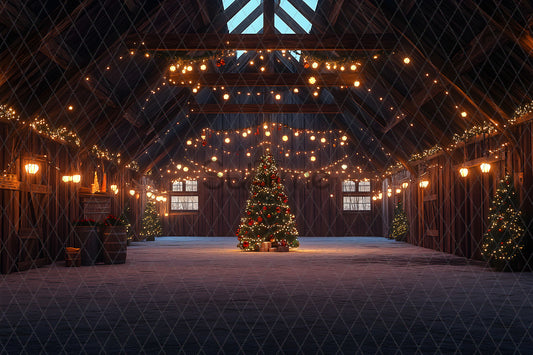 Noël Exterieur-64