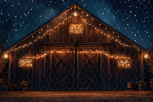 Noël Exterieur-81