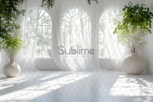 Classic White -52