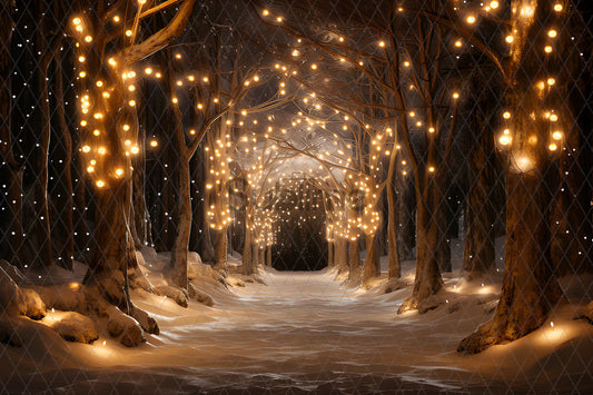 Noël Exterieur-130