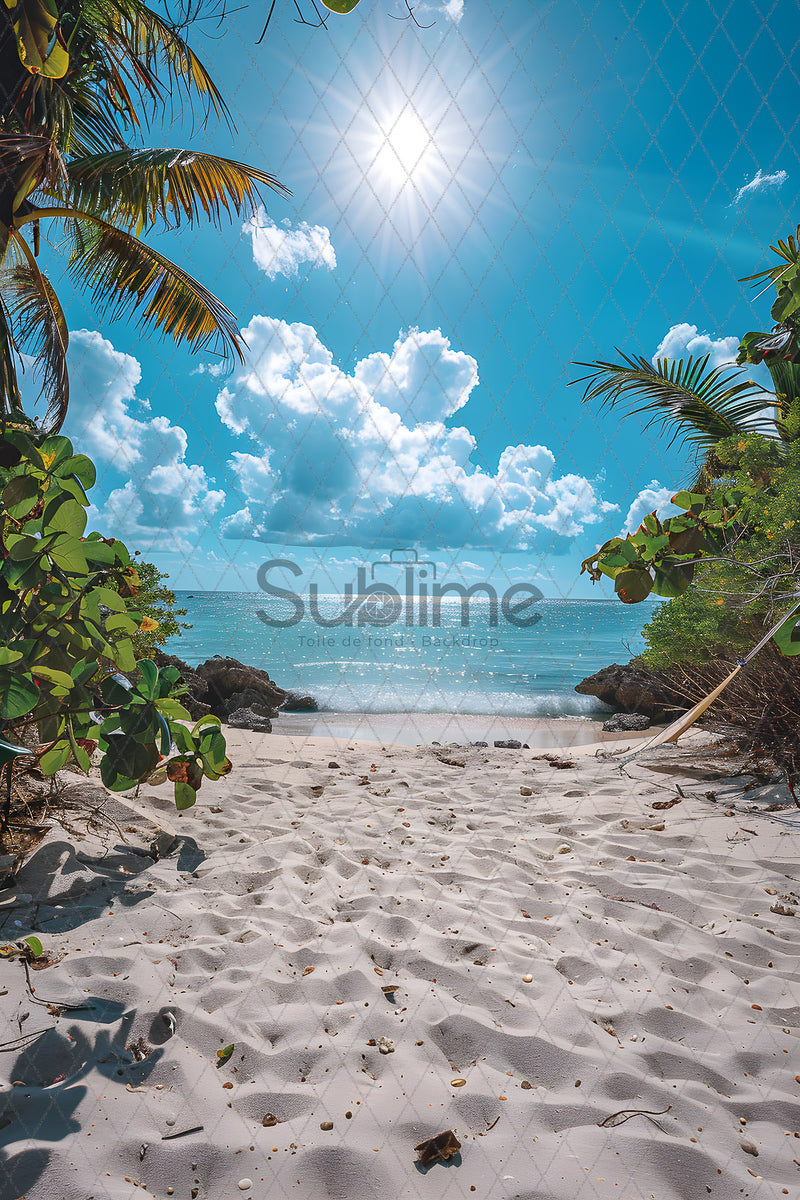 Beach-63