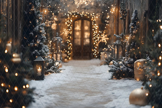 Noël Exterieur-75