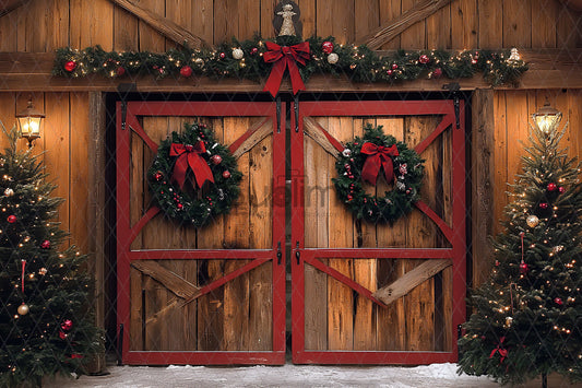 Noël Exterieur-68