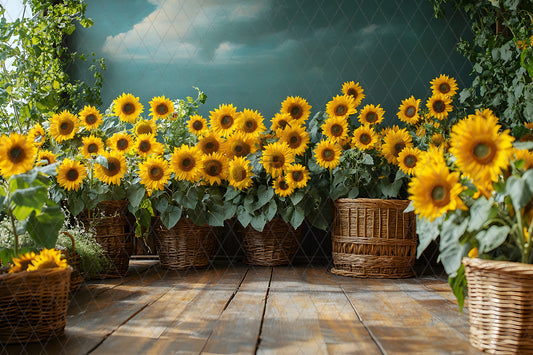 Sunflower-7