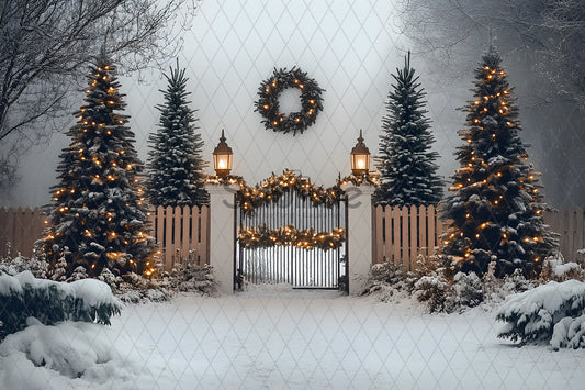 Noël Exterieur-113