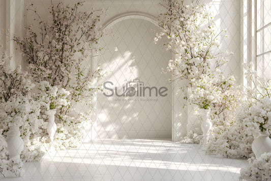 Classic White -16