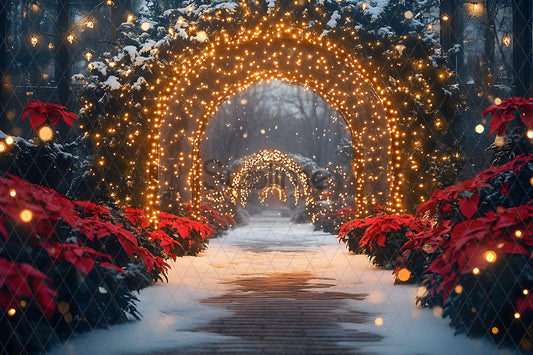 Noël Exterieur-153