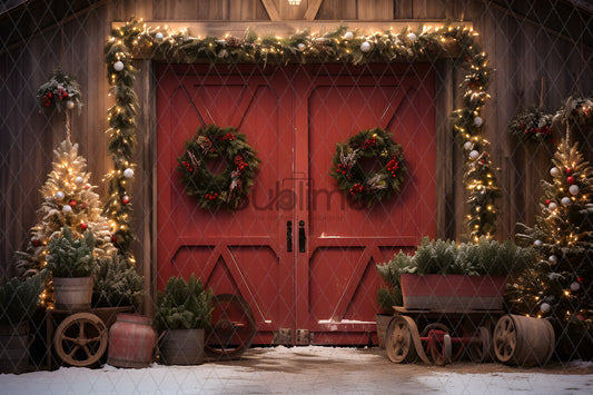 Noël Exterieur-175