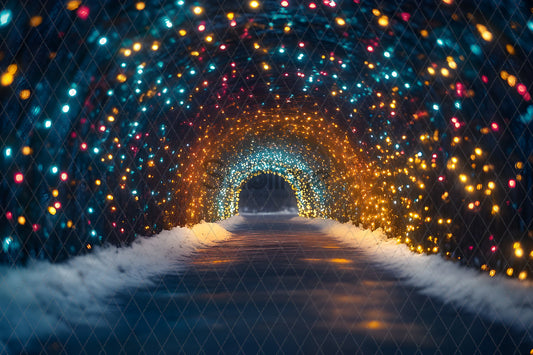 Noël Exterieur-86