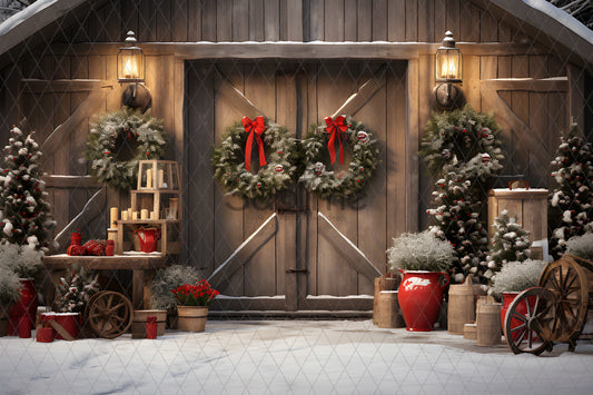 Noël Exterieur-170