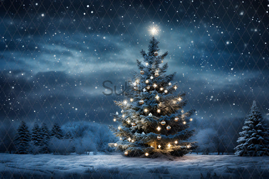 Noël Exterieur-79