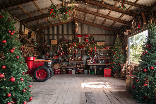 Noël Interieur-215