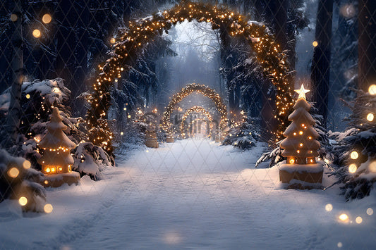 Noël Exterieur-159
